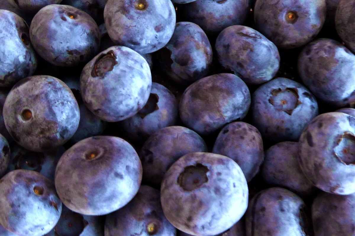 El morado equilibra tu mente y emociones, invitándote a pausar para escuchar tu intuición y transformar tu vida desde la paz interior.