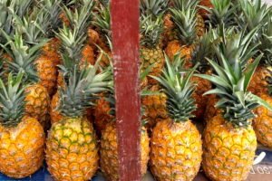 Piñas amarillas y frescas alineadas en varias filas en un puesto de venta. El amarillo puede revelar aspectos de tu personalidad y ayudarte a comprender mejor el amor, las relaciones y tu bienestar emocional.